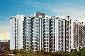 majestique-developer Properties